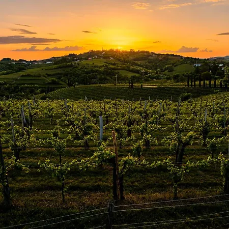 Arianna Longevity Cormòns